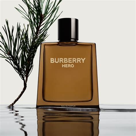 for men burberry|burberry perfume original for men.